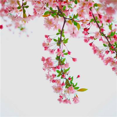 大发dafa888下载手机版